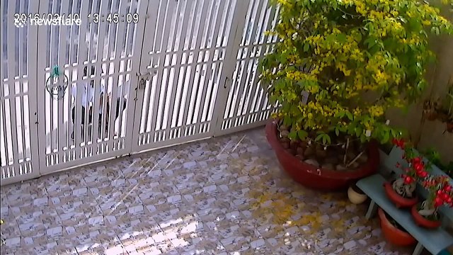 Clueless thief breaks his leg during house break-in attempt