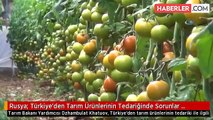 Rusya: Türkiye'den Tarım Ürünlerinin Tedariğinde Sorunlar Çözüldü
