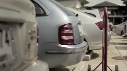 Why Are Dogs Called 'Man's Best Friend'?