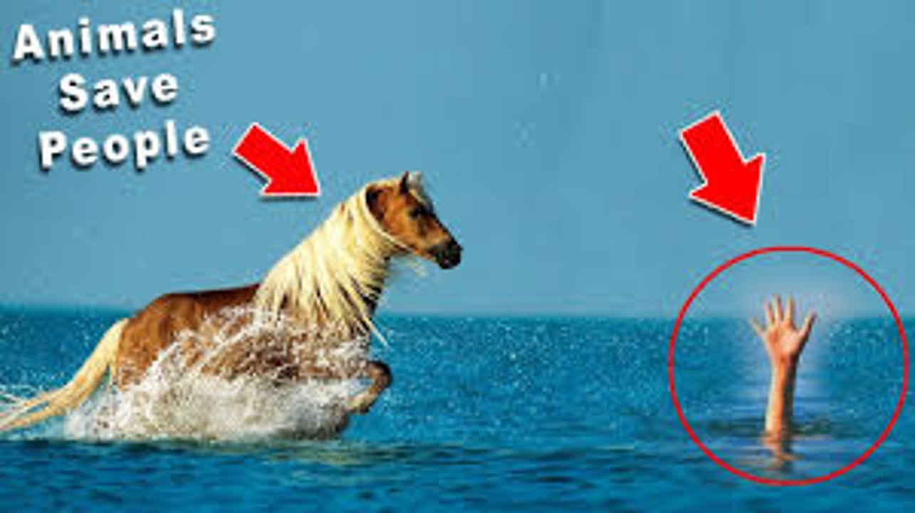 10 Unbelievable Animals That Saved Other Animals