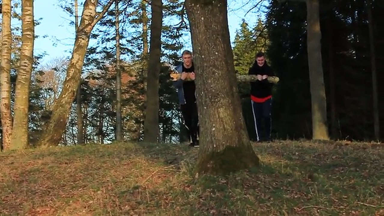 Breaking a Log In Half Goes Wrong