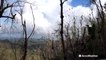 Reed Timmer shows devastation Hurricane Maria caused to El Yunque National Forest in Puerto Rico