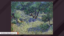 Experts Find Grasshopper Trapped In Van Gogh’s Painting