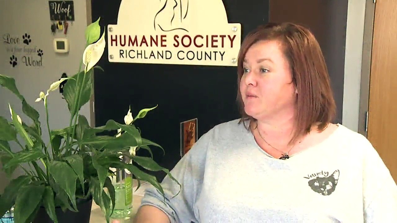 Pit Bull Ban Repealed in Ohio Town