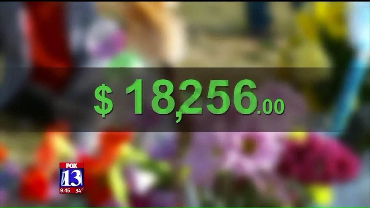 New Investigation Launched After Missing Cat Tortured to Death