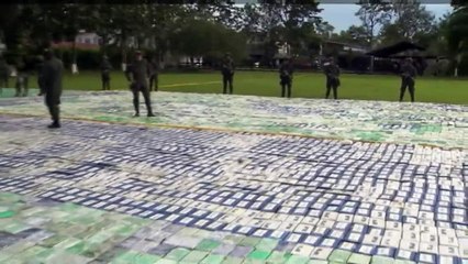 Colombie : saisie record de 12 tonnes de cocaïne