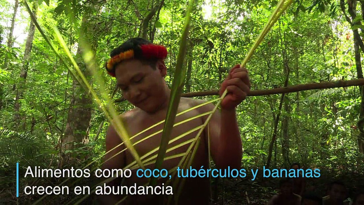 Para la tribu waiãpi, la selva es un mundo infi...