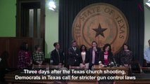 Texas Democratic representatives call for stricter gun control