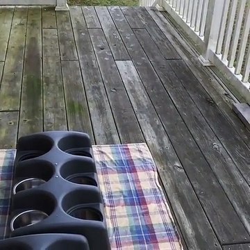 Stampede of Adorable Puppies Masters the Steps