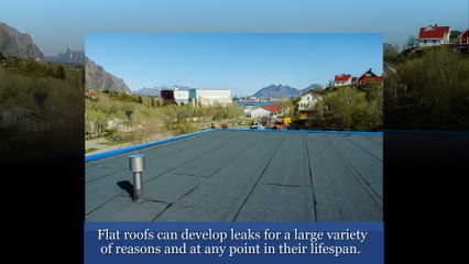 Flat Roof Leak Detection in New Jersey and New York ((732) 546-3800)
