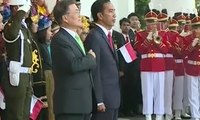 Jokowi Terima Kunjungan Presiden Korea Selatan