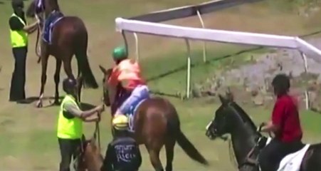 Jokey, At Kendisini Üstünden Atmaya Çalışınca İnsanlıktan Çıktı