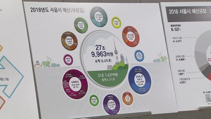 서울시 내년 예산 첫 30조 원 돌파 / YTN