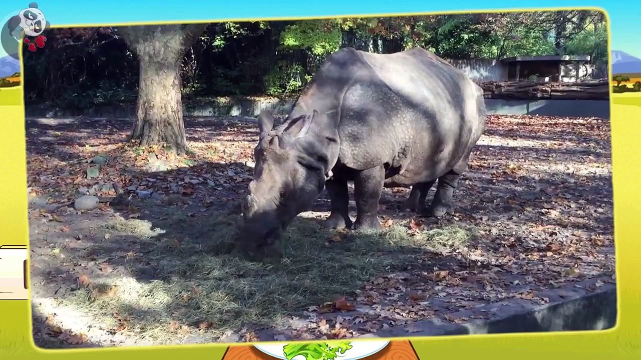 Animals sounds and names for kids - Compilation 30 min | African, forest and farm animals in English