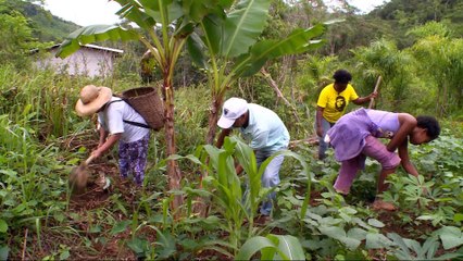 Afro-Brazilian Quilombo fear change in land laws