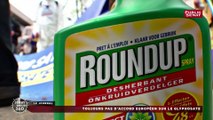 Toujours pas d'accord européen sur le glyphosate