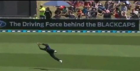 Mccullum Stunning Fielding ever in cricket history