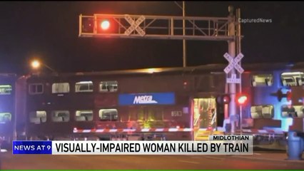 Download Video: Visually-Impaired Woman Killed, Service Dog Injured After Being Hit by Train