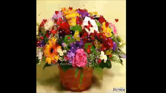 cheb Khalas et cheb Rojdi ( mekich lia ) , الشاب خلاص و الشاب رجدي ( ماكيش ليا )