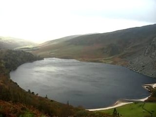 284 guiness importation