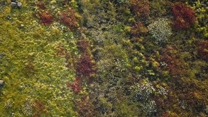 Porsche - Power and Calm - 9:11 Magazine, Episode 4, Chapter 1