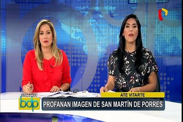 Ate Vitarte: desconocidos destruyen imagen de San Martín de Porres