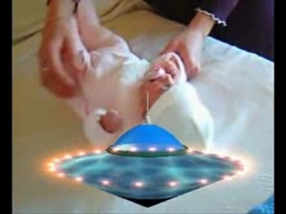 NAISSANCE LAURA.