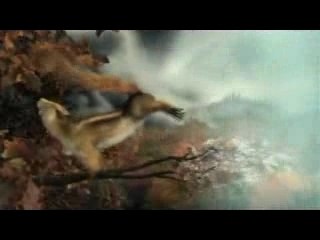 Le Prout de l'Ecureuil