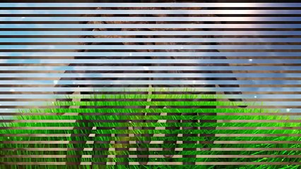 History  of Hakeem Luqman _ Luqman the Wise in Hin