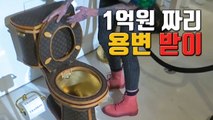 [자막뉴스] 판매가격 '1억 원' 넘는 황금 변기 화제 / YTN