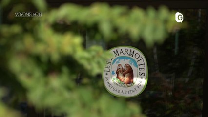 VOYONS VOIR - 9 NOVEMBRE 2017 - Voyons Voir  - TéléGrenoble