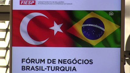 Brezilya-Türkiye İş Forumu - Sao