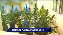 Indiana's American Legion Pushing for Medicinal Marijuana Usage for Veterans