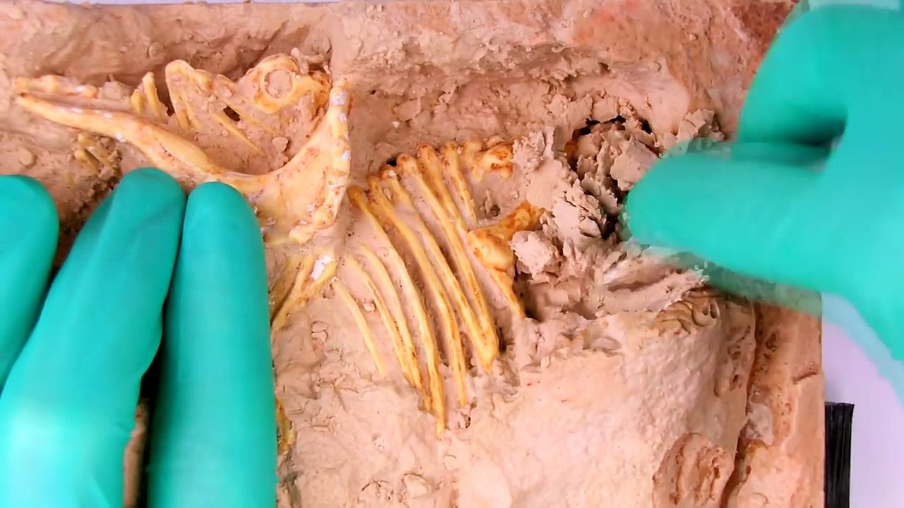 ASMR dinosaur excavation kit (unboxing, scraping, brushing)