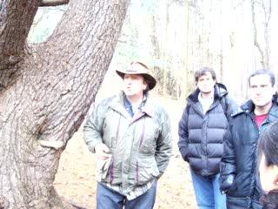 Sugarbush Tour Guide