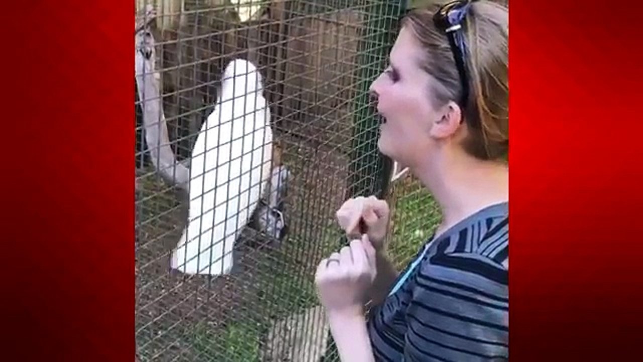 SCARE CAM! INSANE SCARE CAM (Pranks Compilation) BEST FUNNY COMPILATION #4