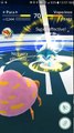 Pokémon GO Gym Battles Level 5 Gym Venusaur Venomoth Golbat Parasect Fearow & more
