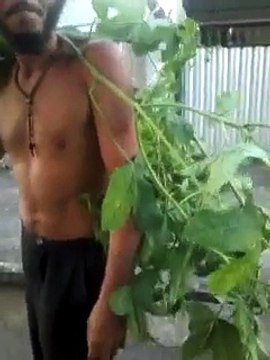 Se não fosse filmado ninguém jamais acreditaria,Olha o que aconteceu.