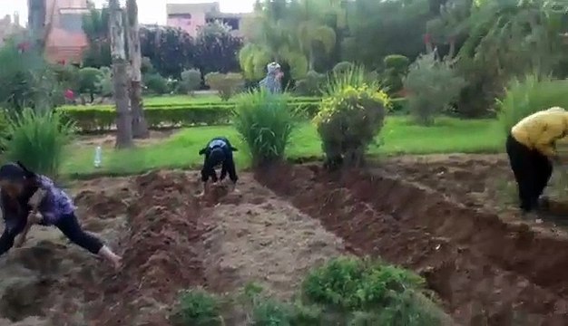 Action de jardinage pour préparer le terrain qui va accueillir les plants de plantes aromatiques