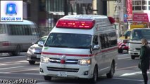 Ambulance Tokyo Fire Department (collection)