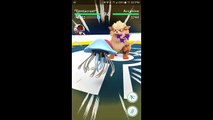 Pokémon GO Gym Battles Level 7 Gym Venusaur Jynx Dewgong Dragonite & more