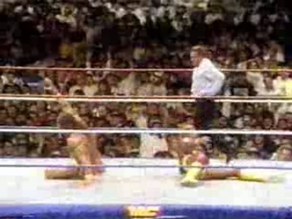 WM6 pt16