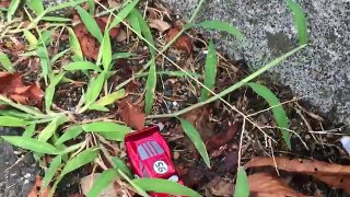 Play in the park Disney Cars driving McQueen Tomica Toys & Thomas