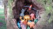 Dinossauros - Dinosaurs Toys - Dinosaurios - Dino Toys - Casa dos Dinossauros Caverna na Árvore 2017