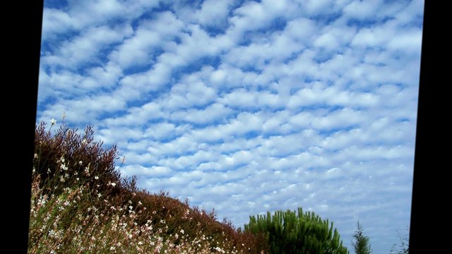 LAS NUBES - POEMA DE VERANO BRISAS