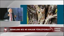 Canlı çeşitliliği - 04.11.2017 Gürkan Hacır ile Şimdiki Zaman 1. Bölüm