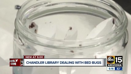 Chandler Public Library latest location in bed bug complaints