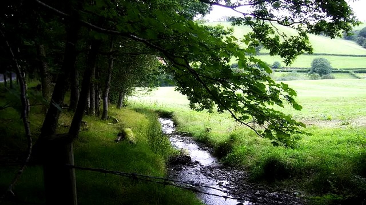 Dogman Encounters - Real First Hand Accounts - Coast to Coast Am