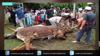 İnsan Kurban Etme Ayinlerinin Bilinmeyen Tarihi