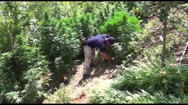 PD KERKON NDJEKJE PENALE NDAJ MINISTRIT TAHIRI PASI KA NXJERRE SEKRETIN QE SHPETON TRAFIKANTET LAJM